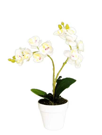 Arranjo de Mini Orquídeas Brancas Artificiais 