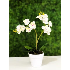 Arranjo de Mini Orquídeas Brancas Artificiais 