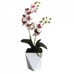 Orquídea Artificial Siliconada Branca com Roxo Vaso Geométrico 