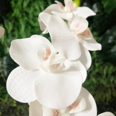 Orquídea Artificial Branca 4 hastes P 