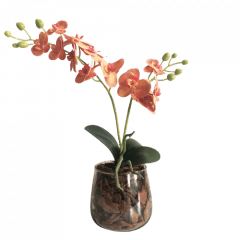 Orquídea Artificial Siliconada Laranja Vaso de Vidro