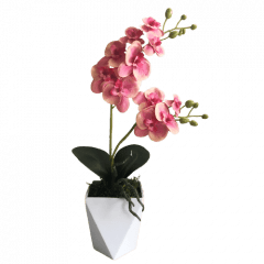 Orquídea Artificial Siliconada Rosa Vaso Geométrico
